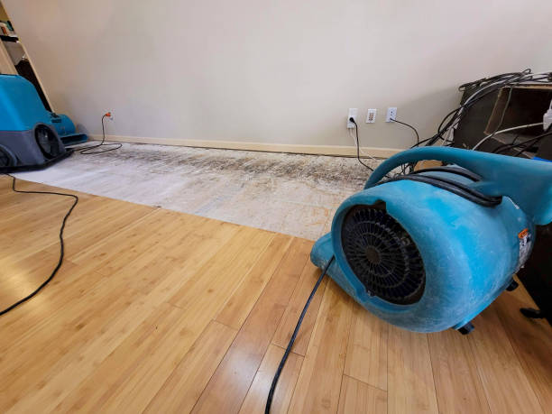 Professional Flood Damage Cleanup technician working in Wilmington, DE